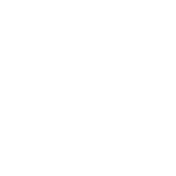 lfl logo